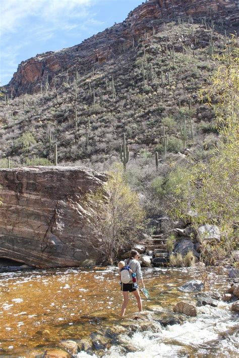 Hiking The Seven Falls Trail In Tucson Arizona