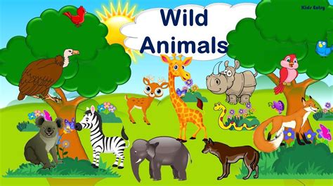 Wild Animals Pictures For Kids