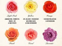 8 meilleures idées sur Signification couleur rose | signification couleur rose, signification ...