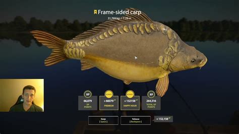 Russian Fishing 4 Carp Fishing At Amber With Trophy Frame Carp Stream