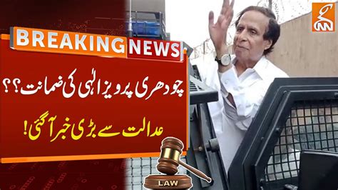 Chaudhry Pervaiz Elahi Bail Confirmed Breaking News From Court Gnn