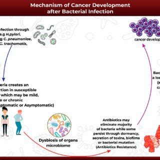 An illustration of the mechanism of cancer development after bacterial ...