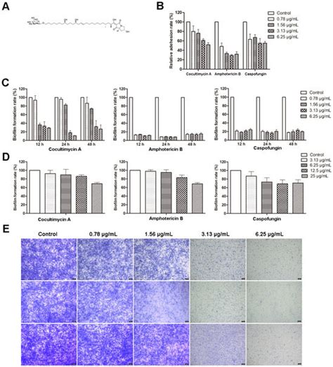 Ijms Free Full Text Anti Biofilm Activity Of Cocultimycin A Against