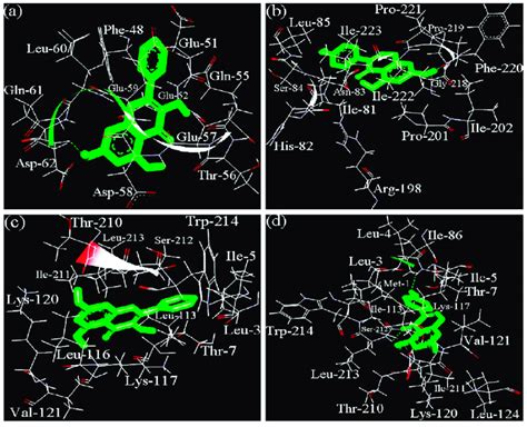 The Docked Sites For The Non Covalent Binding Of Casein A B Or S