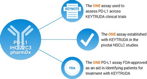 Pd L Ihc C Pharmdx Overview Agilent