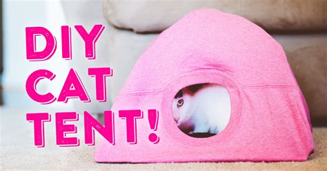 Diy Cat Tent Easy Cat Tent Tutorial