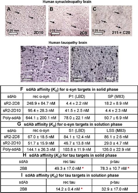 Immunohistochemistry And Affinity Of Anti α Syn And Anti Tau Sdabs A