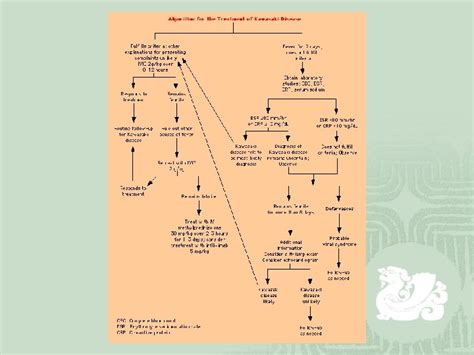 Kawasaki Disease Mucocutaneous Lymph Node Syndrome Pediatric Group