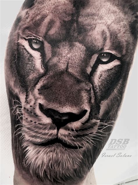 Top 85 Imagen Fotos De Leones Tatuajes Abzlocal Mx