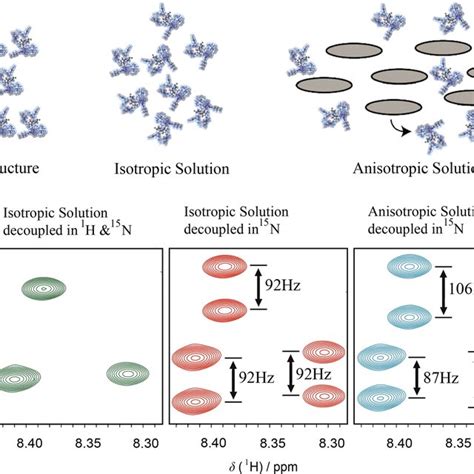 Residual Dipolar Couplings In NMR Spectroscopy A The Behavior Of A