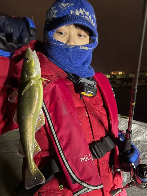 ナギパパ さんの 2023年02月11日のコマイの釣り・釣果情報北海道 岩内港 アングラーズ 釣果400万件の魚釣り情報サイト