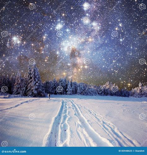 Starry Sky In Winter Snowy Night. Stock Image - Image of horizon ...