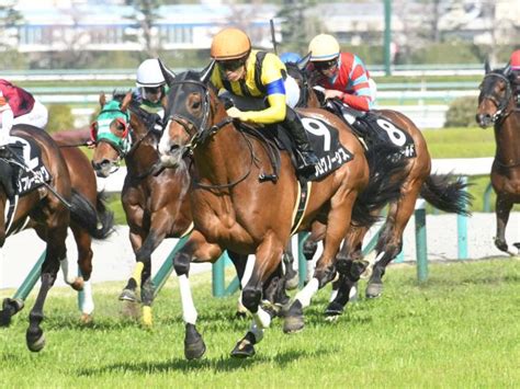 【中日新聞杯見どころ】6戦4勝のプログノ シスが古馬重賞初挑戦 ライブドアニュース