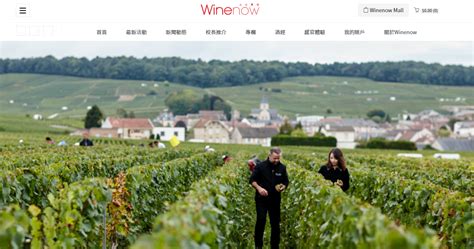 winenow champagne investment trends  article