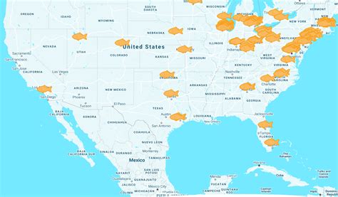 Goldfish Swim School Cost | HowMuchIsIt.org