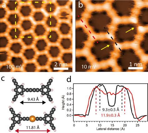 Transmetalation In Surface Confined Single Layer Organometallic