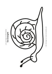 Coloriage escargot maternelle Dessin à colorier imprimer en PDF