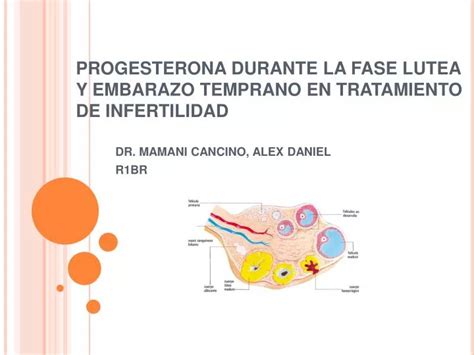 Ppt Progesterona Durante La Fase Lutea Y Embarazo Temprano En Tratamiento De Infertilidad