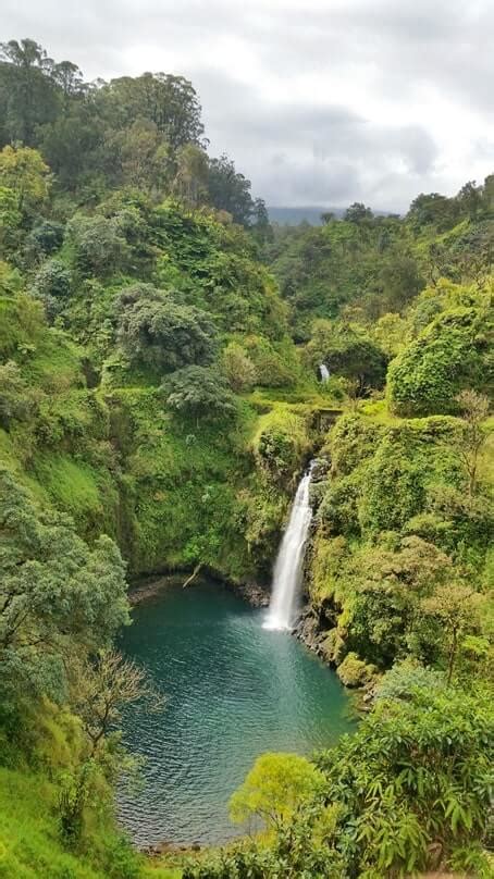 Road to Hana hikes with 11+ East Maui hikes near Hana Highway 🌴 Hawaii ...