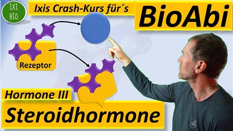 Hormone 3 Steroidhormone Wirkungsweise Im Detail Vergleich Von