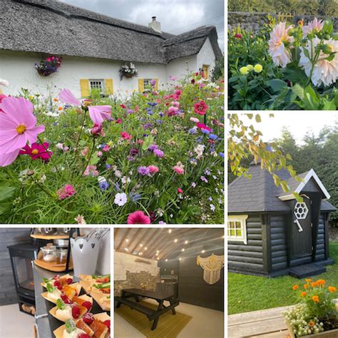 Spinning Wheel Blooms - The Flower Farmers of Ireland