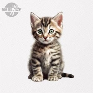 Tabby Cat Clipart, Tabby Cat PNG, Tabby Cat Illustration, Cat Clipart ...