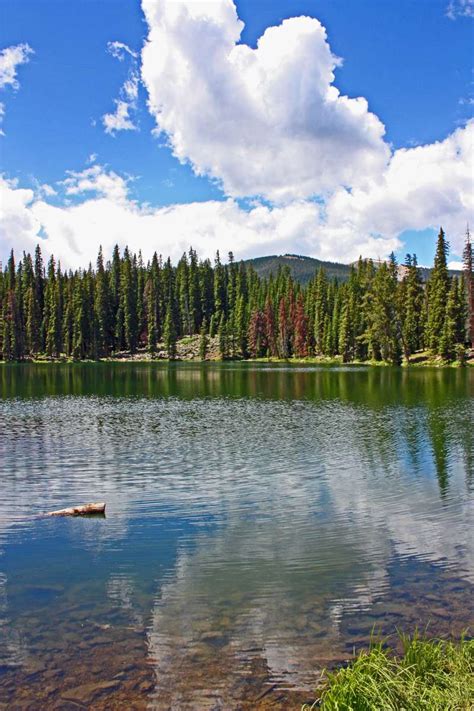 South Fork Group Campground, Arapaho, CO: