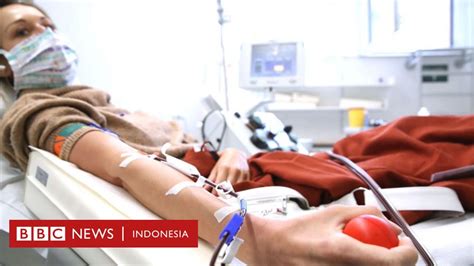 Virus Corona Uji Coba Plasma Darah Penyintas Covid Sudah Dimulai Di