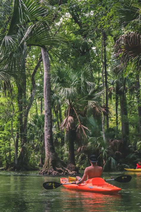 Tips For Kayaking At King S Landing Florida Simply Wander