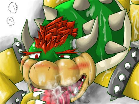 Post 494173 Bowser Koopa Super Mario Bros Toorin