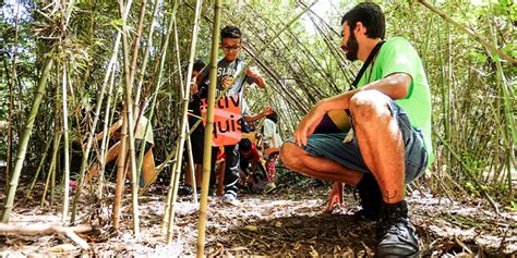 Visita Mediada ao Bosque Sesc São Paulo Sesc São Paulo