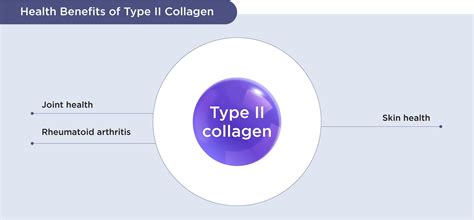 Type II collagen - YesHealth Supplement Mall