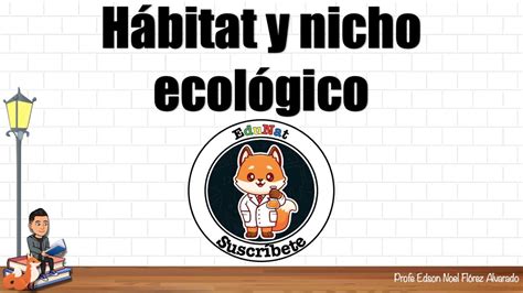 HÁBITAT y NICHO ecológico habitat nichoecologico YouTube