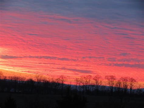 Viewing nature with Eileen: Christmas sunset