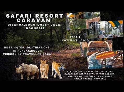 Sensasi Staycation Di Caravan Di Tengah Hutan Taman Safari Yukk Ke