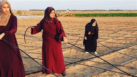 Women In Gaza Determined To Overcome Economic Social Challenges The