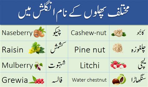 Fruits Names Vocabulary In English With Urdu Meanings ILmrary Fruit