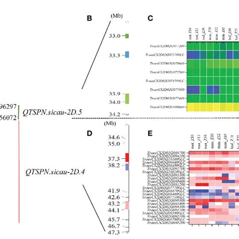 Physical Maps And Exon Capture Results Of Major Quantitative Trait Loci