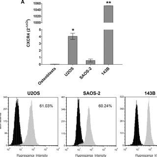 Cxcr Expression In Os Cell Lines A Cxcr Mrna Levels In Os Cell