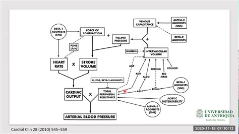 Fisiopatologia De La Hipertension Arterial Youtube Images