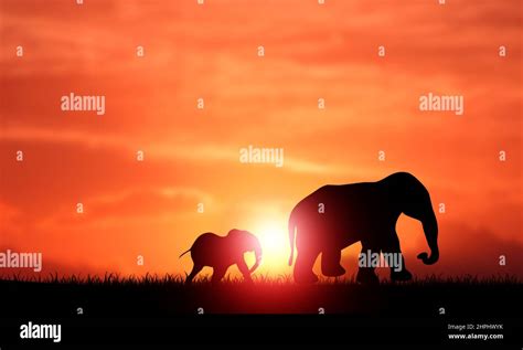 Baby Silhouette Hi Res Stock Photography And Images Alamy