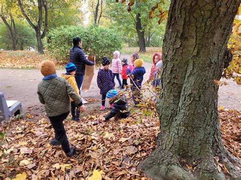 Akcja Ratujmy Kasztanowce Grupa VI Przedszkole Montessori