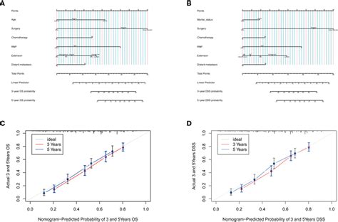 Prognostic Nomograms For Predicting The OS A And DSS B Probability