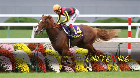 【無料ダウンロード】 競馬 壁紙 Pc Jatopwallpaper