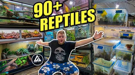 Huge Reptile Room Tour October 2021 90 Reptiles Youtube