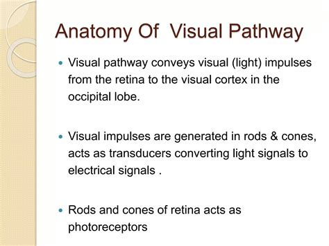 visual pathway pptx