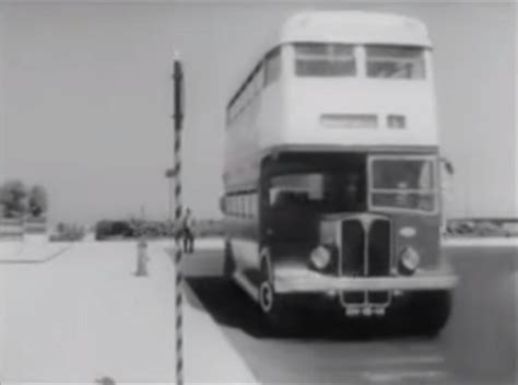 IMCDb org 1954 AEC Regent III Weymann in Os Três da Vida Airada 1952