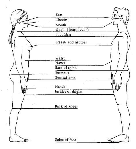 Pin By Khay Lewis On Erogenous Zones Diagram Chart Line Chart