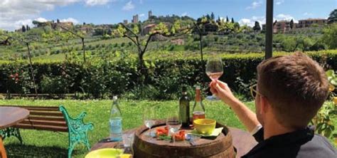 5 Tips for Planning a WINE TASTING on a Vineyard in Tuscany