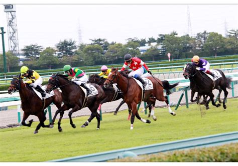 Jra「新スター候補」カレンモエ圧勝！ ロードカナロア×カレンチャン「究極スピード配合」に安田隆行調教師「スター要素がある」 Gj